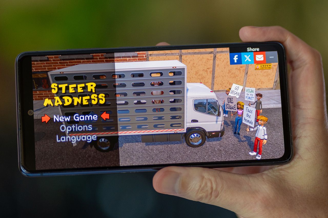 Steer Madness on mobile